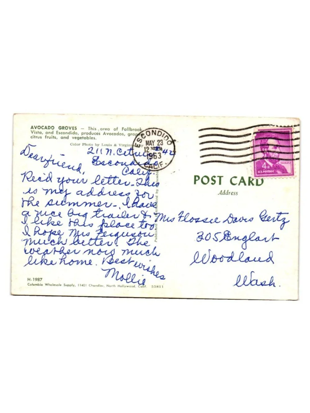 Vintage 1963 Escondido California Avocado Groves Postcard Used Postmarked Stamp